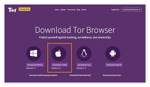 safe darkweb browsing tips