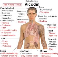 Vicodin effects and risks
