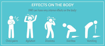 DMT effects and experience