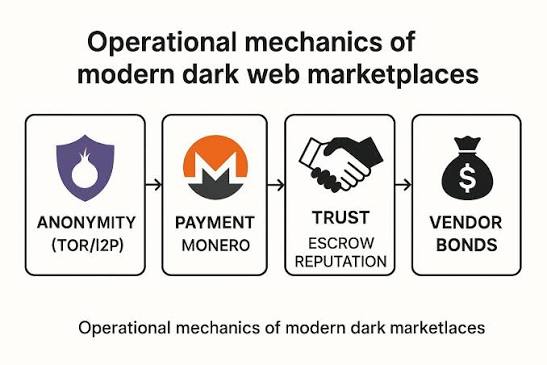 darknet market reputation system