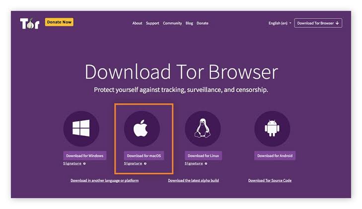 dark web anonymous browsing