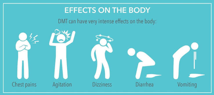 dmt effects and experience