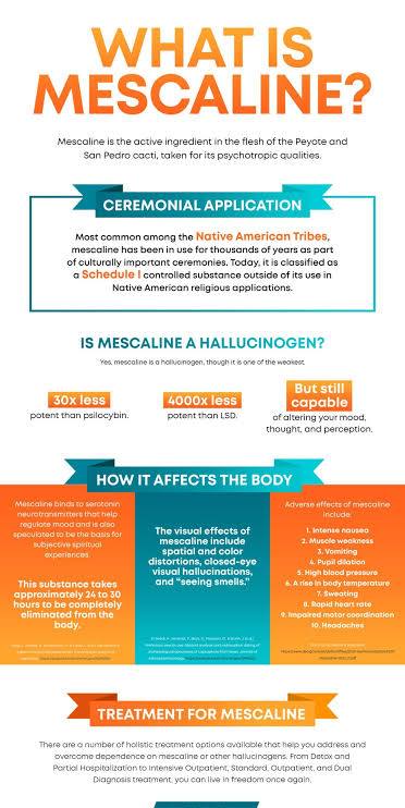 mescaline effects and safety